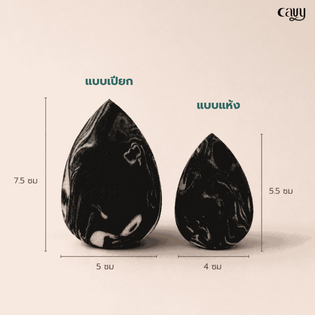 CAVY Signature Soft Sponge